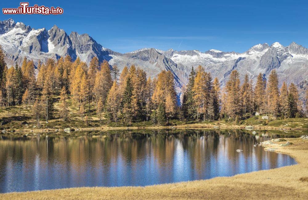 Immagine Escursione ai laghi di Grazonè e San Giuliano in Trentino, una classica meta da Caderzone Terme
