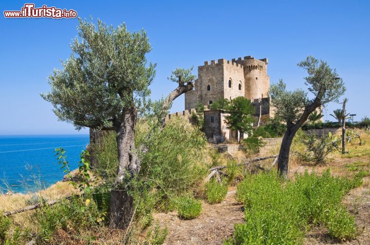 Immagine Escursione al castello di Roseto Capo Spulico, tra ulivi e macchia meditterranea sulla costa nord-orientale della Calabria