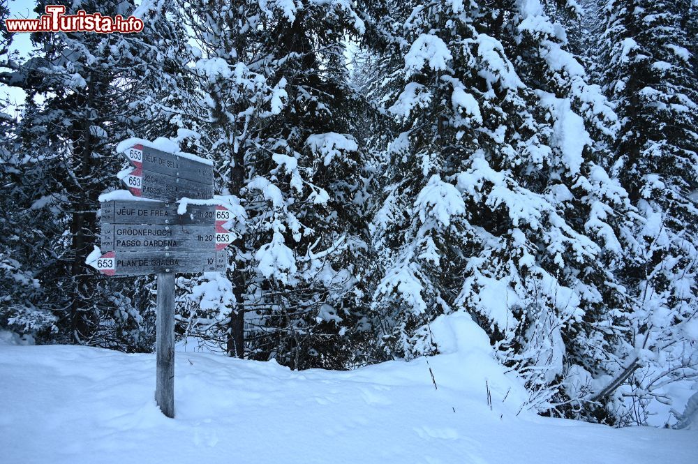 Immagine Escursione con le ciaspole in località Plan de Gralba in Val Gardena - © Foto S. Vietto Ramus e Massimo Valentini