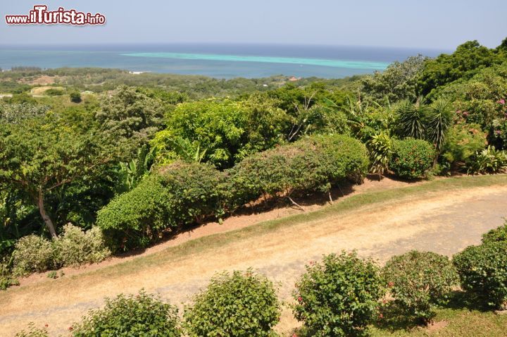 Immagine Escursioni in fuoristrada a Roatan, Honduras - E' decisamente rigogliosa e selvaggia la natura che caratterizza quest'isola dell'Honduras dove si può andare alla scoperta di percorsi inesplorati a bordo di veicoli fuoristrada © Ritu Manoj Jethani / Shutterstock.com