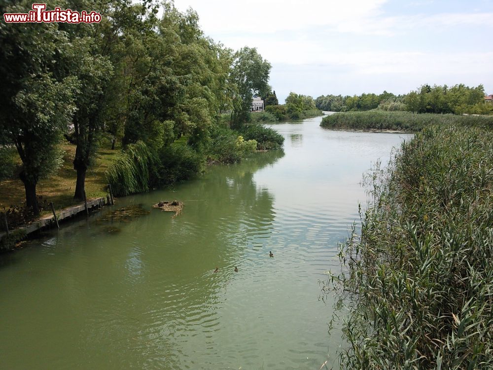 Immagine Escursione in barca sul Fiume Sile vicino a Jesolo nel Veneto