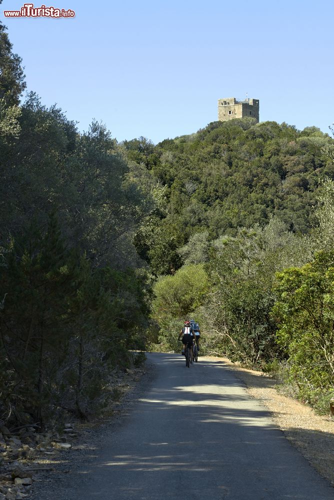 Immagine Escursione in bicicletta nel Parco dell'Uccellina in Toscana, dinorni di Alberese