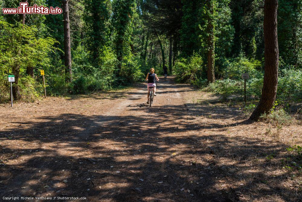 Immagine Escursione in bicicletta nella Pineta di Milano Marittima, non distante dalla Casa delle Farfalle - © Michele Vacchiano / Shutterstock.com