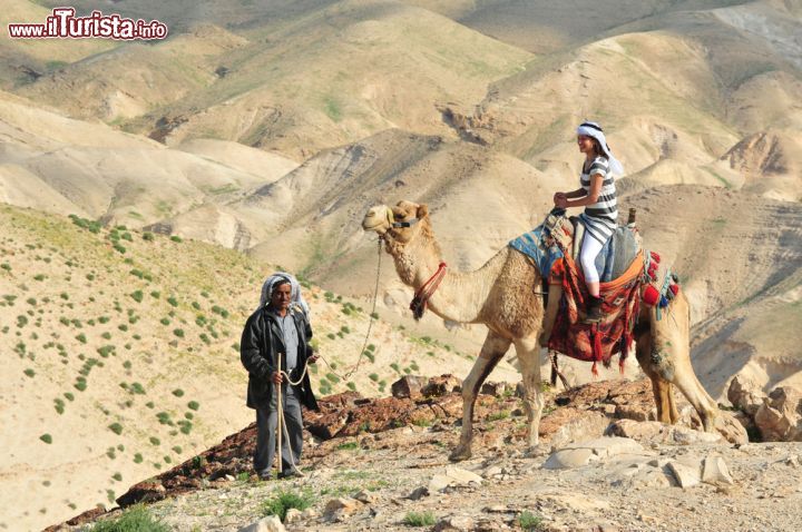 Immagine Escursione in cammello nel deserto intorno a Gerico in Palestina - © ChameleonsEye / Shutterstock.com