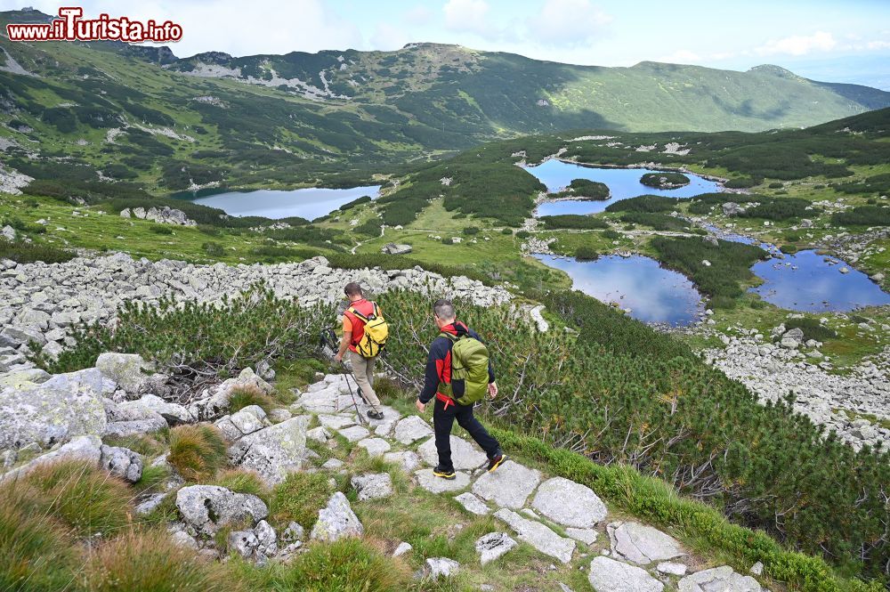 Immagine Escursione in montagna da Zakopane sui Monti Tatra