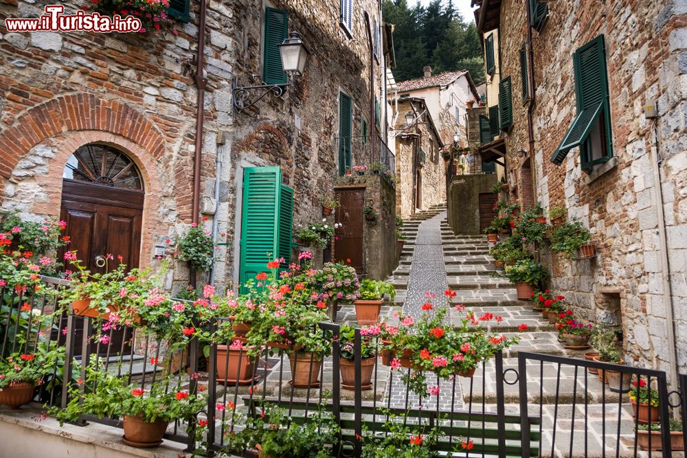 Immagine Escursione lungo le stradine del borgo di Montieri in Toscana