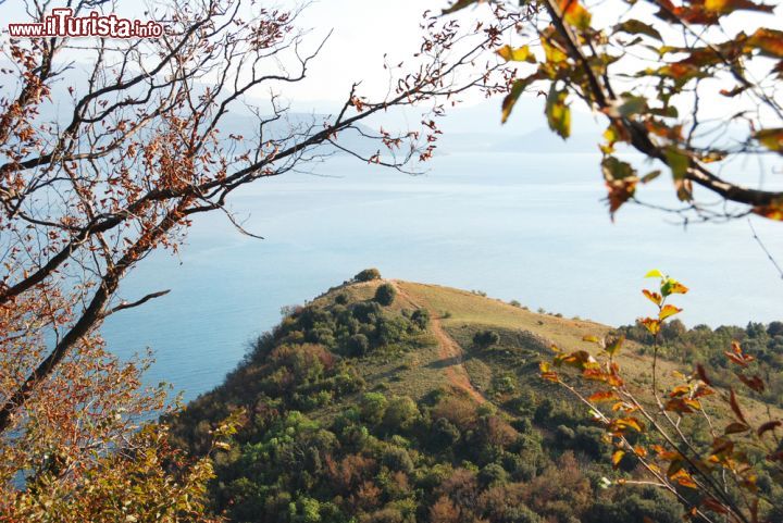Immagine Escursione sulle colline di Manerba, con vista sul lago di Garda - © Mattia Mazzucchelli / Shutterstock.com