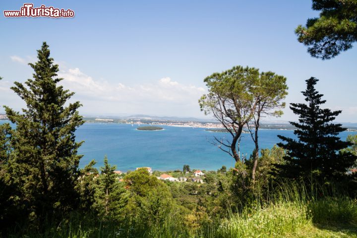 Immagine Escursione nel cuore verde dell'isola di Pasman, in Croazia