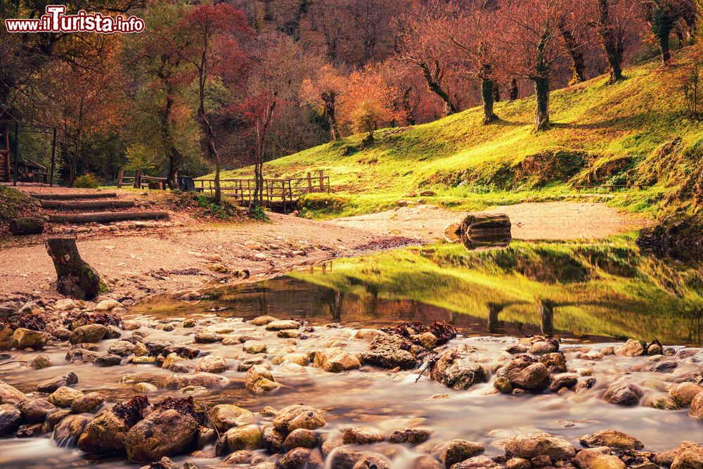 Immagine Escursione nel Parco Regionale Monti Picentini nei pressi di Montella di Avellino