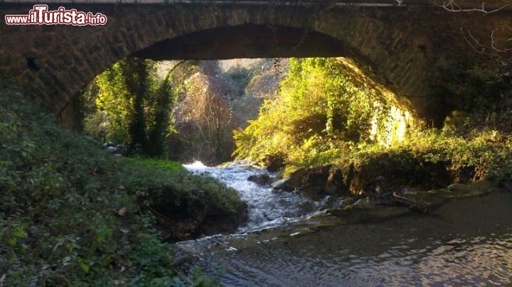 Immagine Escursione nella natura che avvolge la zona di San Mauro Cilento - © www.sanmaurocilento.gov.it