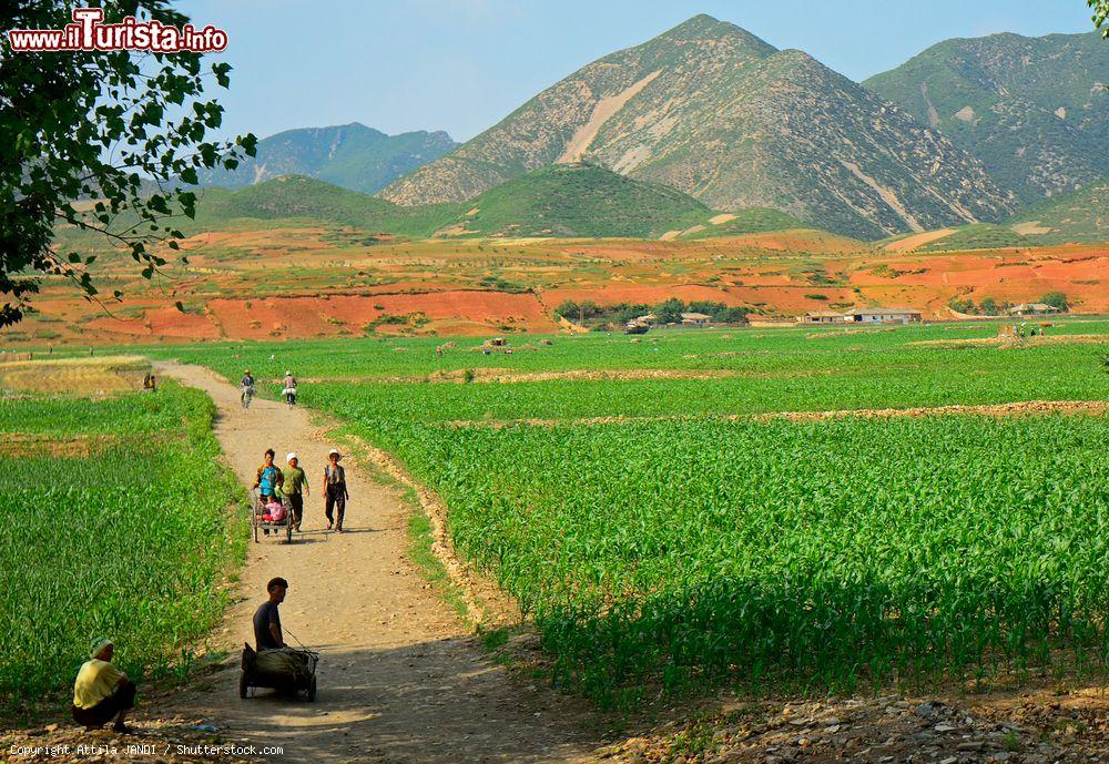 Immagine Escursione nella natura della Corea del Nord, siamo nelle zone settentrionali del paese asiatico. - © Attila JANDI / Shutterstock.com
