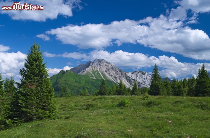 Immagine Escursioni estive nelle Dolomiti di Sappada, Veneto - Passeggiate e trekking da rifugio a rifugio sono solo alcune delle attività outdoor che si possono effettuare nei mesi estivi a Sappada © Mario Saccomano / Shutterstock.com