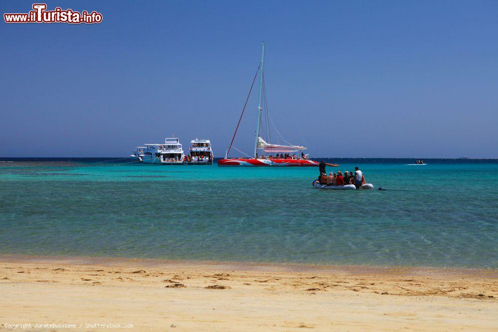 Immagine Escursione per fare snorkeling dalla marina di Port Ghalib a Marsa Mubarak, Egitto. E' una delle più belle località delle regione di Marsa Alam dove si possono ammirare dugonghi e tartarughe marine - © JurateBuiviene / Shutterstock.com