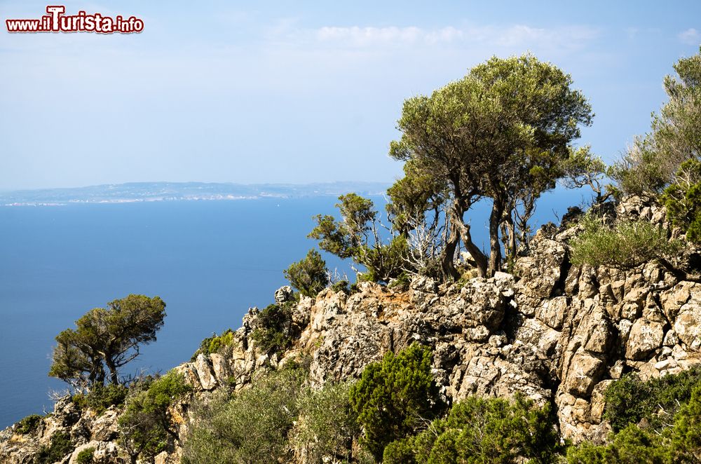 Immagine Escursione sul sentiero panoramico di Nebida in Sardegna