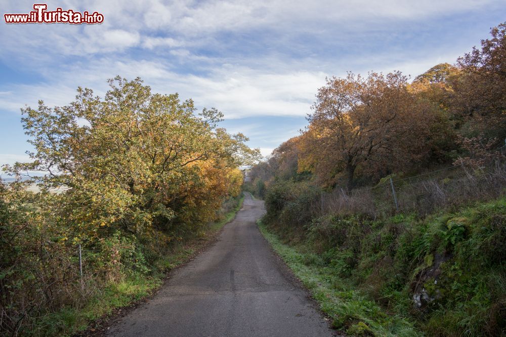 Immagine Escursione tra i paesaggi naturali di Bonorva in Sardegna