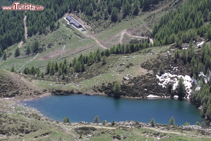 Immagine Escursione tra le montagne della Valtellina, ci troviamo nei pressi dell'Alpe Colina, nei dintorni di Postalesio, in  Lombardia - © www.comune.postalesio.so.it