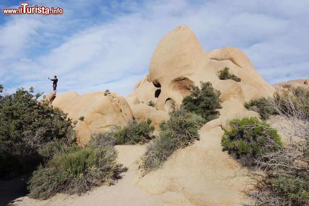 Immagine Escursione tra le rocce nei dintorni di Palm Springs in California.