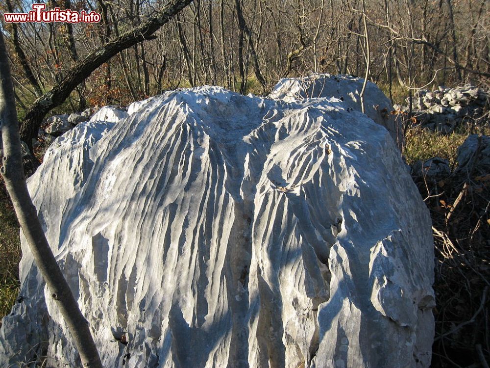 Immagine Esterno della Grotta Gigante di Sgonico: un masso calcareo solcato da karst