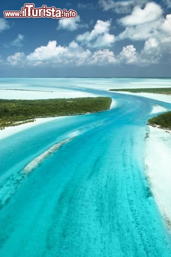 Immagine Exuma, isole Bahamas. Quest'arcipelago si affaccia con le sue spiagge di sabbia bianca soffice sulle acque smeraldo dell'oceano.