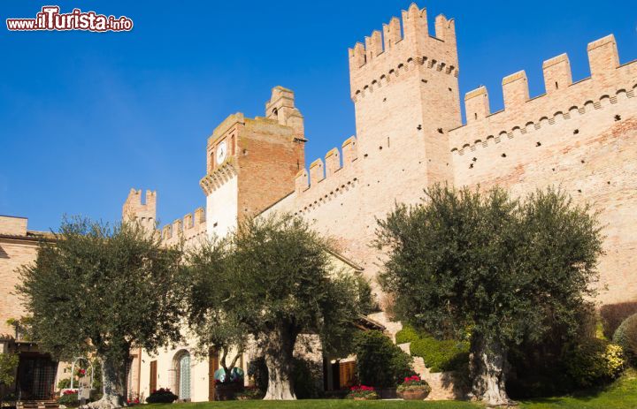 Immagine L'imponente facciata del castello di Gradara, Italia. Questo borgo ricco di storia permette di immergersi nella sua atmosfera medievale perfettamente conservata. Dall'alto della fortezza si può godere uno splendido panorama delle dolci colline marchigiane e della costa romagnola sino a perdersi oltre l'orizzonte del mare Adriatico