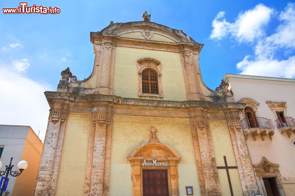 Immagine Facciata della Chiesa di San Francesco, Fasano, Italia. In cima si trova la statua in pietra che ritrae San Francesco da Paola. L'interno è formato da una navata con transetto e cappelle laterali.