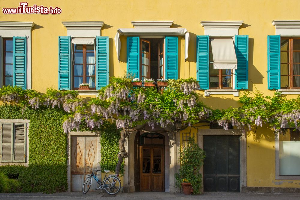 Immagine La facciata di un palazzo ricoperto da piante di glicine profumato a Mergozzo, Piemonte.