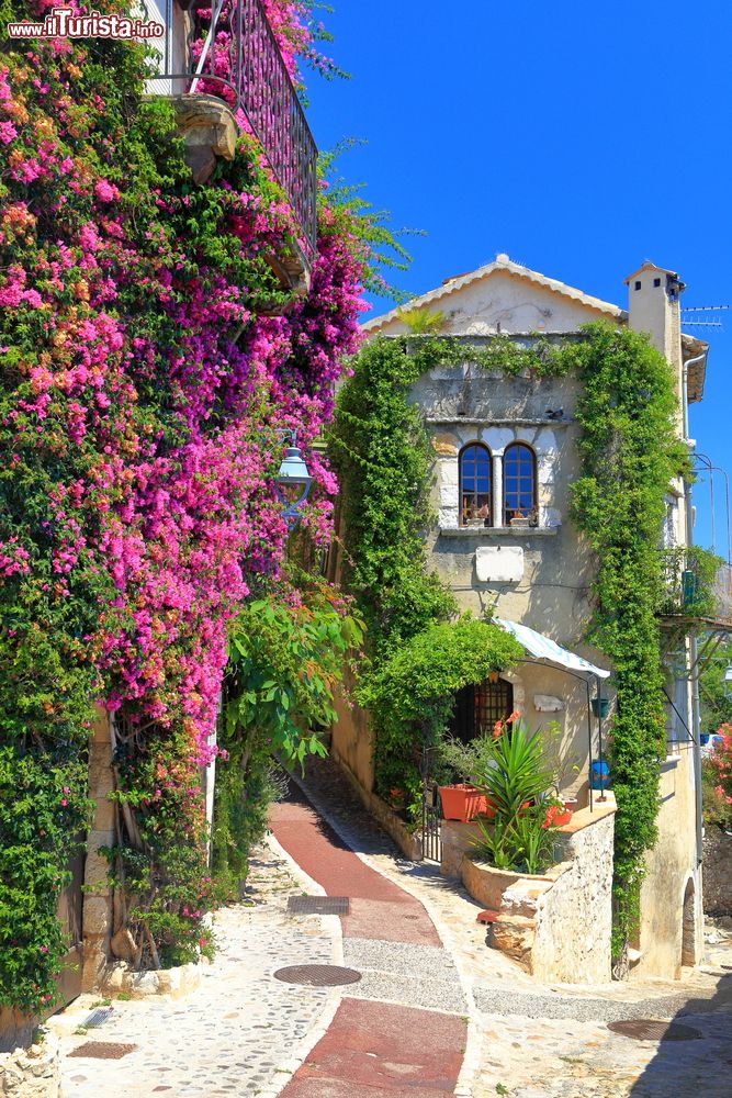 Immagine La facciata in pietra di un'abitazione di Saint-Paul-de-Vence decorata con fiori dalle tonalità lilla, Francia.