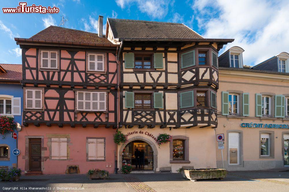 Immagine Facciate a graticcio nel centro medievale del borgo di Eguisheim, Francia - © Alla Khananashvili / Shutterstock.com