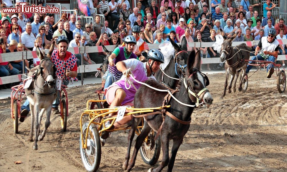 Corsa degli Asini e Palio dei Borghi Fagagna