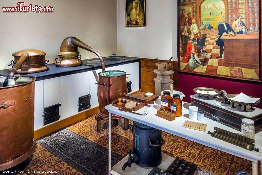 Immagine Farmacia e attrezzature per sterilizzare gli indumenti all'Hotel-Dieu di Beaune, Francia - © Jacky D / Shutterstock.com