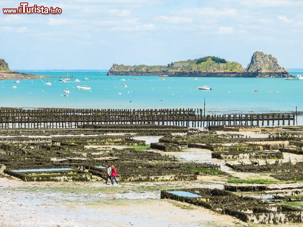 Immagine Fattorie di ostriche a Cancale durante la bassa marea, Bretagna, Francia. Le barche che attraccano e ripartono, il ritmo delle maree e il lavoro degli ostricoltori animano il porto di questa cittadina  - © Arndale / Shutterstock.com