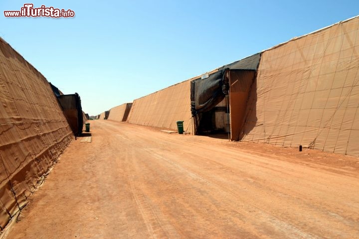 Immagine Ferme Tawarta, Dakhla: in questa enorme serra di sessanta ettari sono coltivati pomodori ciliegini, irrigati con acqua estratta dal sottosuolo e desalinizzata.