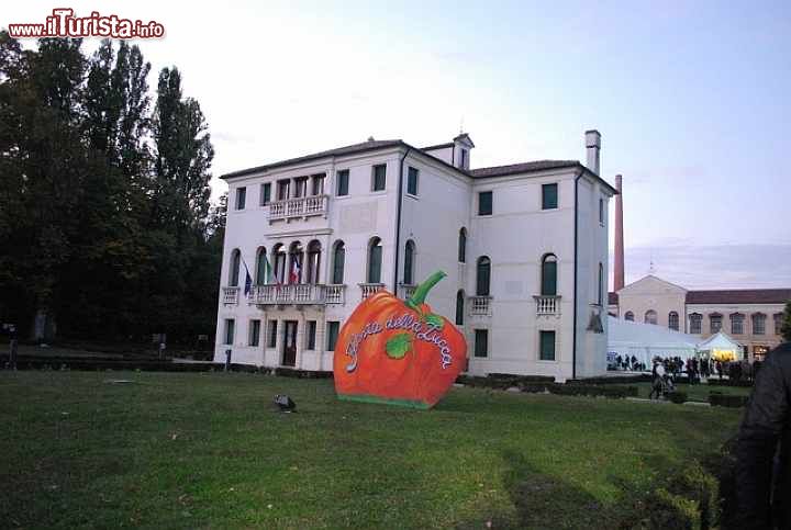 Immagine La Festa della Zucca è un atteso evento di Salzano in veneto