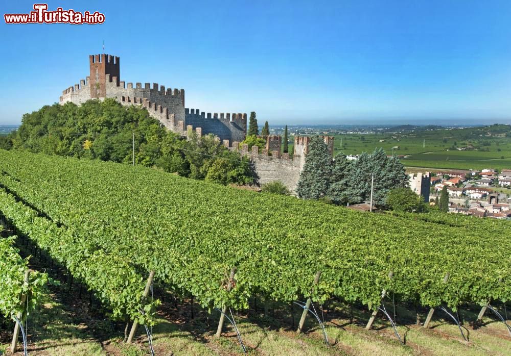 Festa Medioevale del Vino Bianco Soave