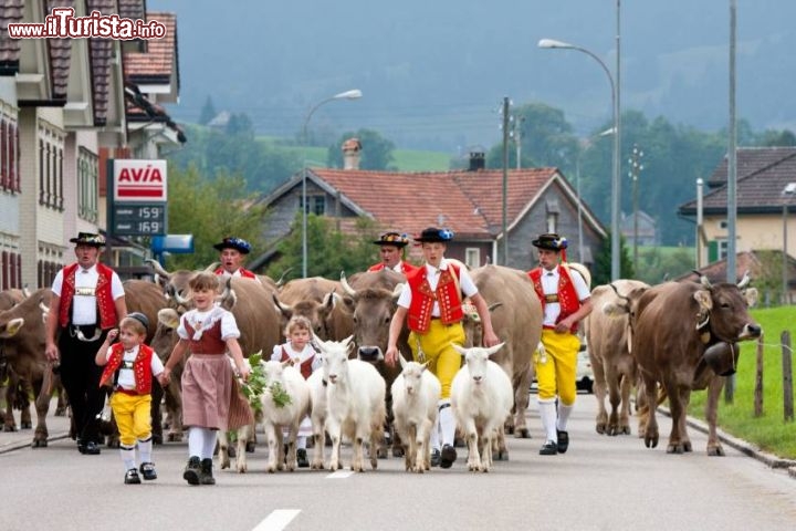 Immagine Feste dei malgari nel Canton Alpenzello, Svizzera. Da sempre gli svizzeri amano curare le loro tradizioni locali  - © bopyd / iStockphoto®