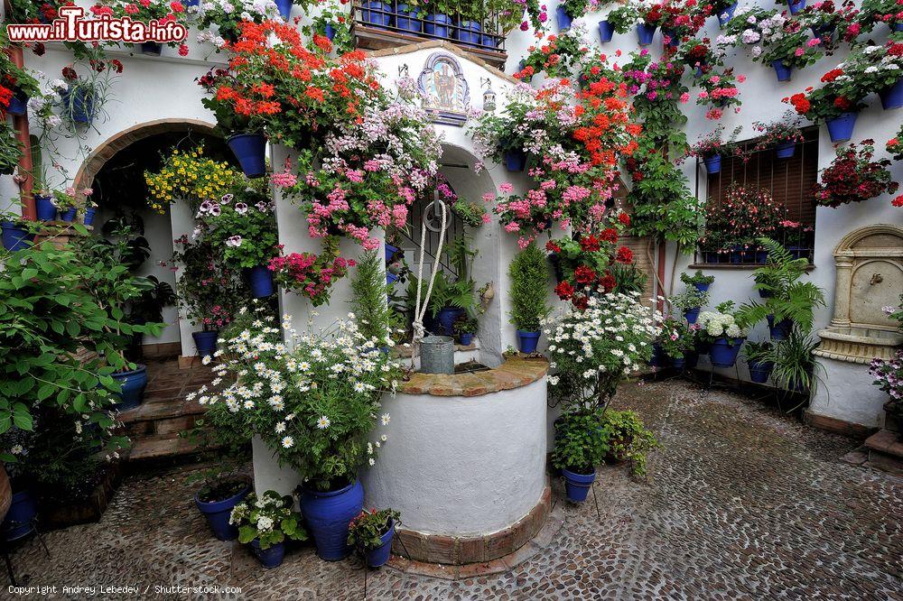 Immagine Durante i giorni del Festival i cordovesi mettono in mostra con orgoglio i cortili del centro storico, decorati per l'occasione con vasi di gerani, garofani e gelsomini posti sulle bianche pareti imbiancate a calce. - © Andrey Lebedev / Shutterstock.com