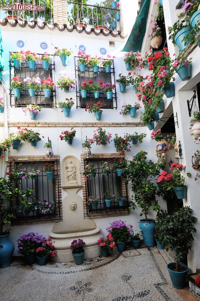 Immagine Festival de los Patios a Cordova, i cortili in fiore della città spagnola