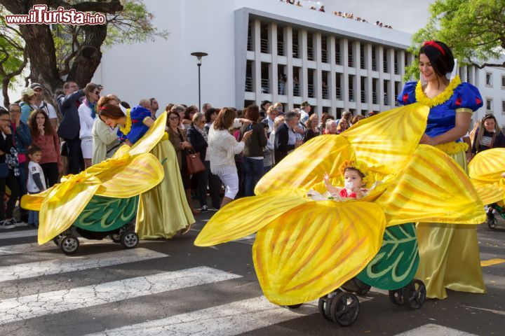 Immagine Il Festival dei Fiori a Madeira (Portogallo) con le sue bellissime coreografie - Il Flower Festival di Madeira si tiene ogni anno nel periodo primaverile quando la natura regala il suo spettacolo più bello. Le strade di Funchal si tingono di profumi, odori e colori nonché costumi stessi, fatti di fiori bellissimi che non solo simboleggiano la bellezza della natura ma portano con sé anche un messaggio di armonia. In particolar modo oltre a indossare i costumi a fiore si creano anche apposite coreografie da diffondere per le strade e nelle piazze, dando colore a una manifestazione che racchiude già moltissime sfumature - © Anna Breitenberger / Shutterstock.com