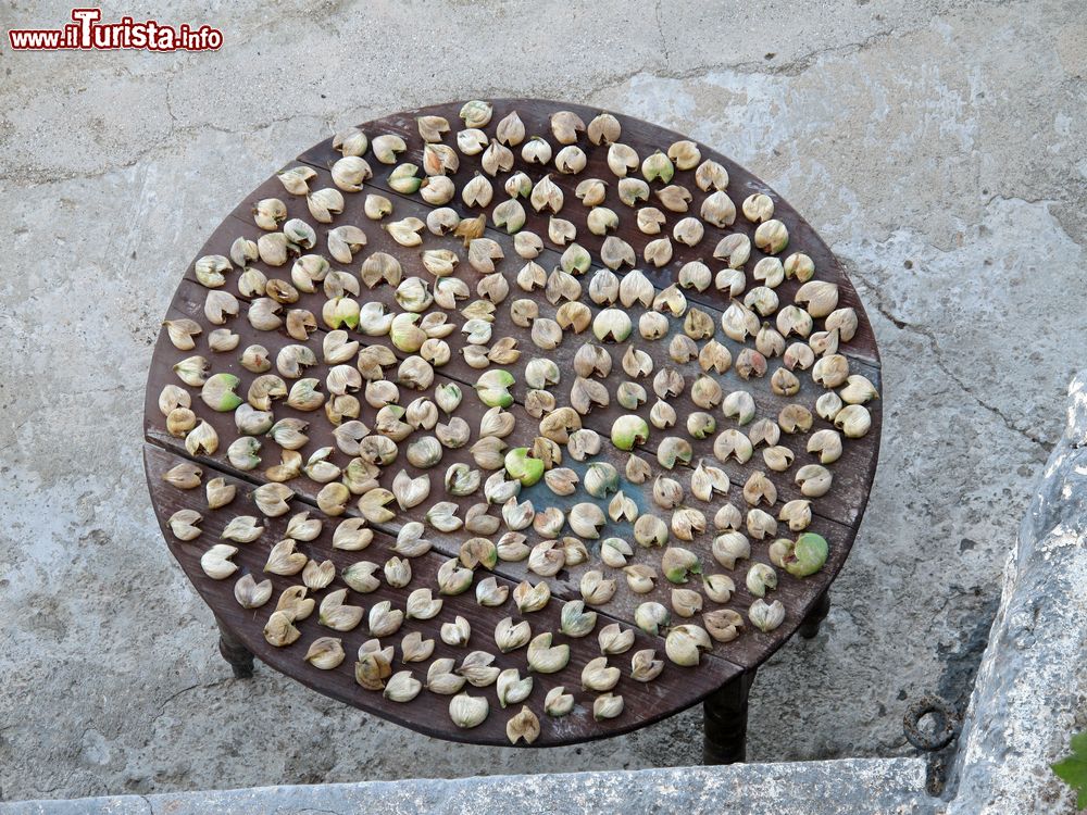 Immagine Fichi stesi al sole ad essiccare su un tavolino, isola di Lipsi, Grecia.