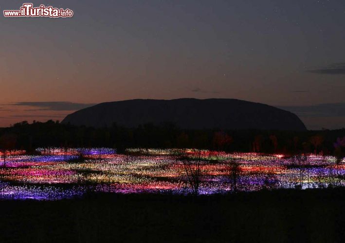 Immagine Field of Light a Uluru lo spettacolo di luci a Ayers Rock: una installazione temporanea attiva da aprile 2016 a marzo 2017 - © Mark Pickthall