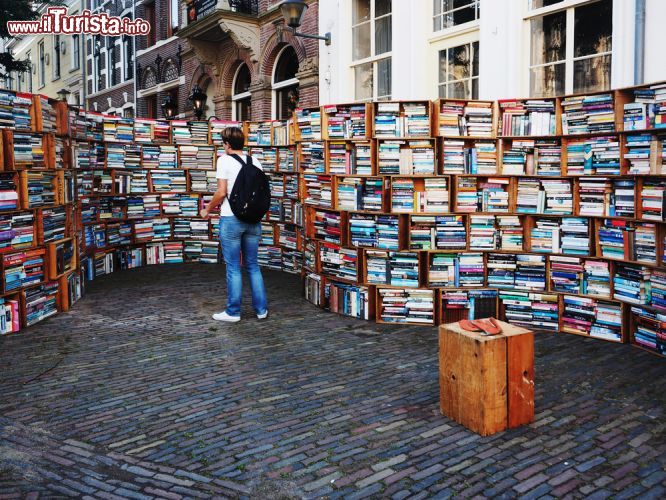 Immagine Deventer, Olanda: ogni anno, il primo weekend di agosto, si svolge in questa città la maggiore fiera libraria del paese, la Deventer Boekenmarkt - foto © Marc Venema / Shutterstock.com