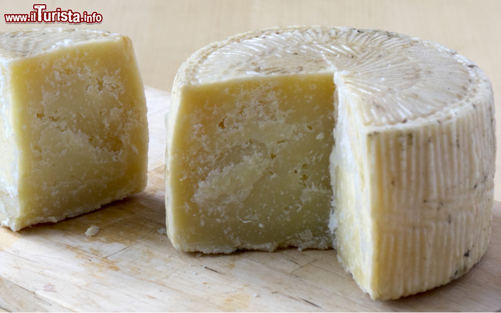 Sagra del Pecorino di Filiano DOP e dei Prodotti Lattiero-Caseari Filiano