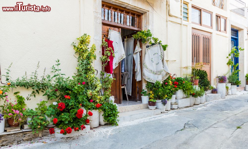 Immagine Fiori colorati e piante decorano una stradina del centro di Omodos, isola di Cipro.