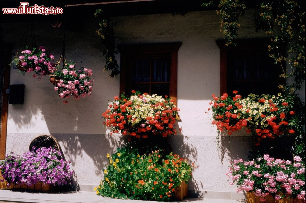 Immagine Fiori colorati impreziosiscono la facciata di una casa a Dobbiaco, provincia di Bolzano.