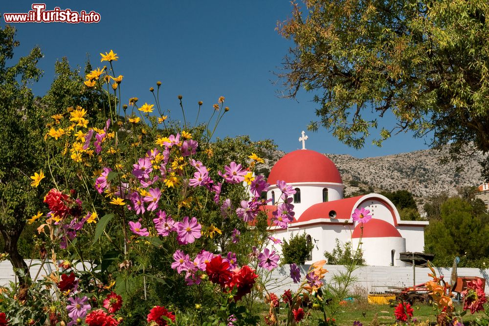Immagine Fiori colorati nell'altopiano di Lassithi, isola di Creta, con una chiesa greco cattolica sullo sfondo.