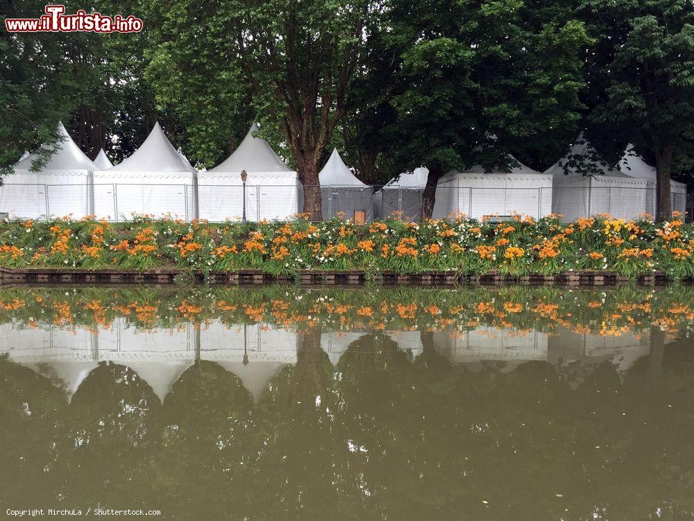 Immagine Fiori colorati rilfessi nelle acque del fiume a Paray-le-Monial, Francia - © MirchuLa / Shutterstock.com