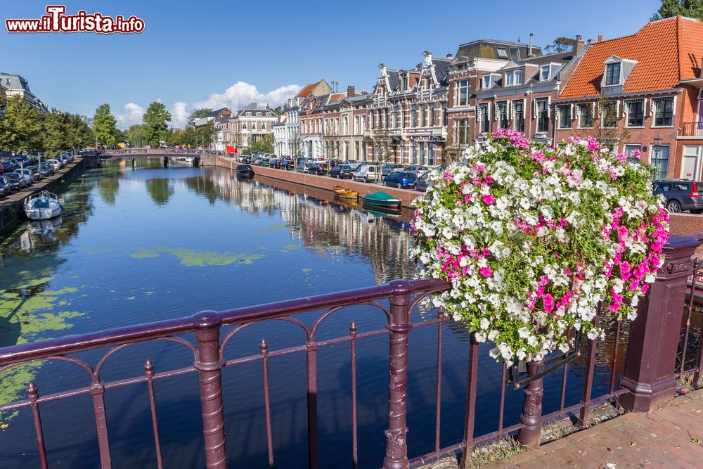 Immagine Fiori colorati su un ponte nel centro storico di Haarlem, Olanda.