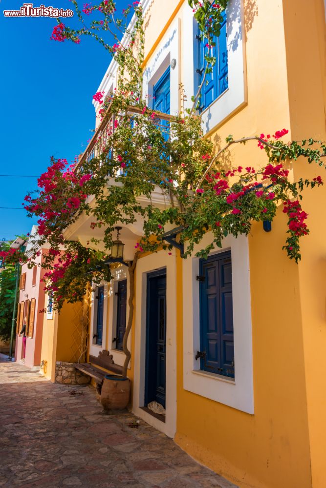 Immagine Fiori colorati sulla facciata di case neoclassiche a Nimborio sull'isola di Chalki (Grecia).