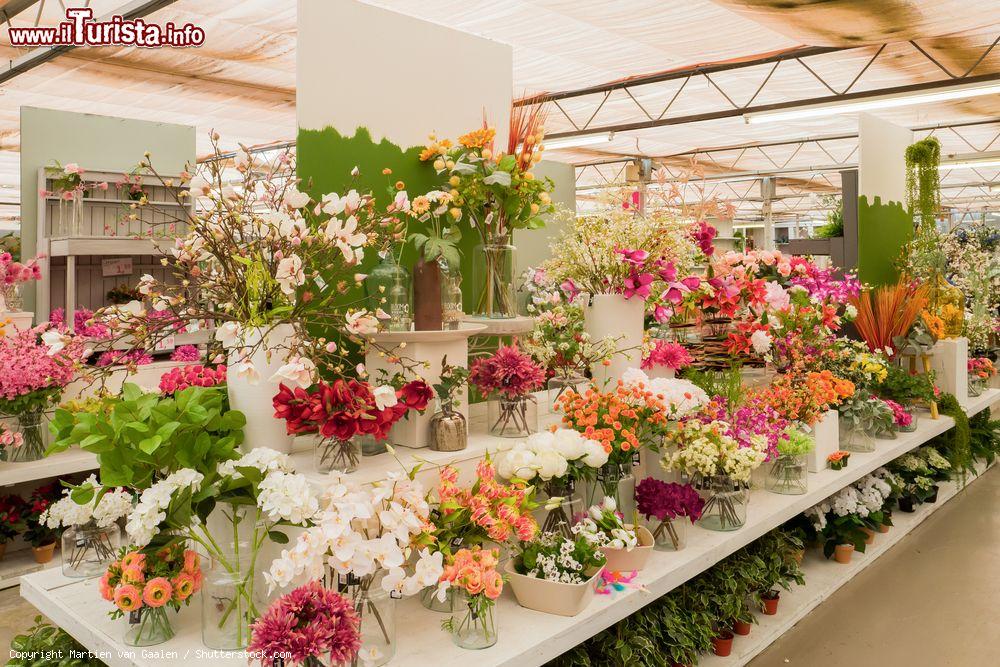Immagine Fiori in seta al garden De Driesprong nella cittadina di Zoetermeer, Olanda - © Martien van Gaalen / Shutterstock.com