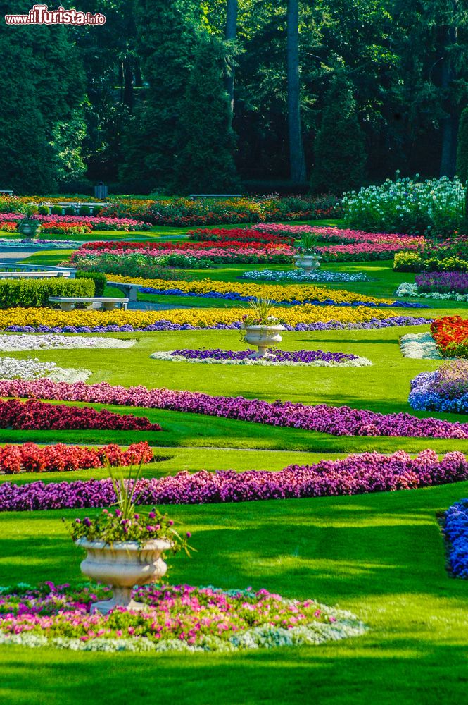 Immagine Fiori in un parco a Spokane in una giornata primaverile, Washington, Stati Uniti.